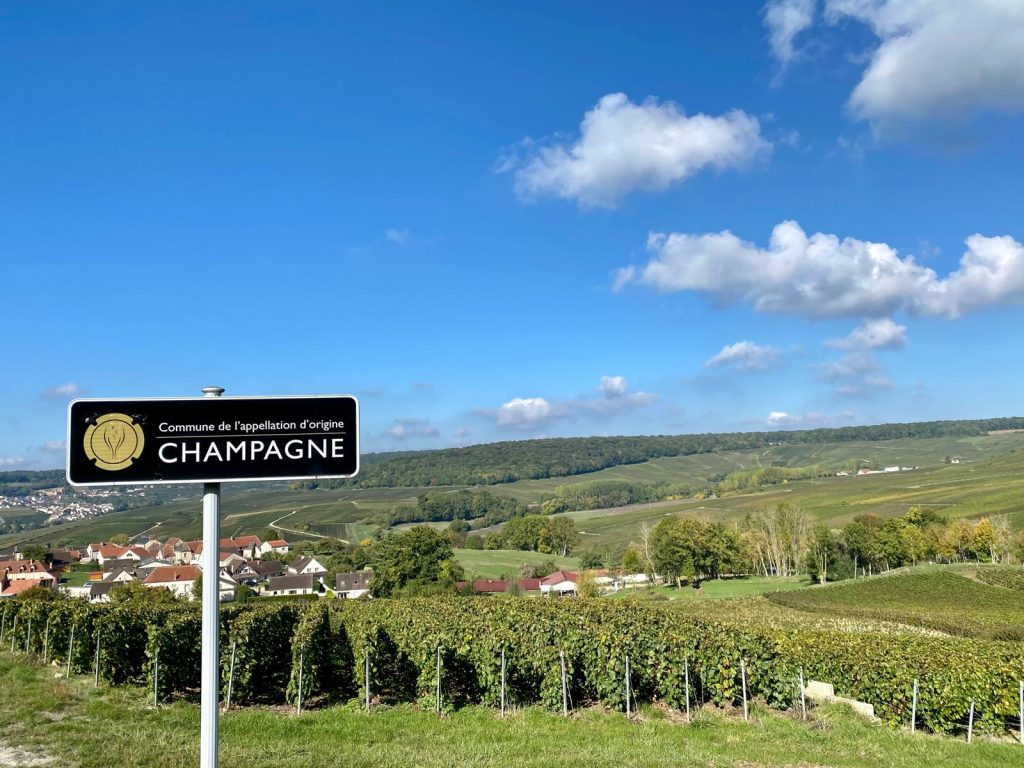 Champagne-Wijncursus-Wijnstudio