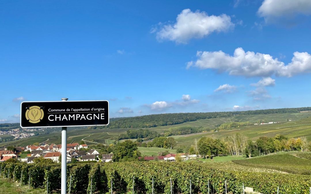 Champagne in de 17e eeuw: van arme boerenwijn tot koninklijk icoon