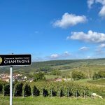 Champagne-Wijncursus-Wijnstudio